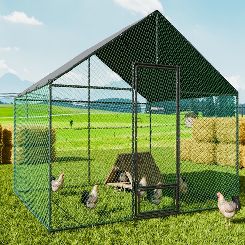 Large elevated chicken - chicken, coop
