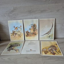 Vintage Canberra Cruise Ship