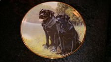 Franklin Mint Labrador Dog