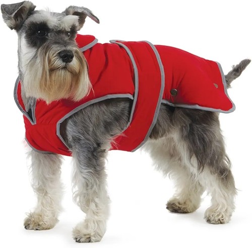 Ancol muddy paws - paws, all