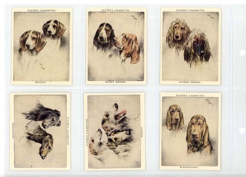 Player cigarettes dogs - player's,
