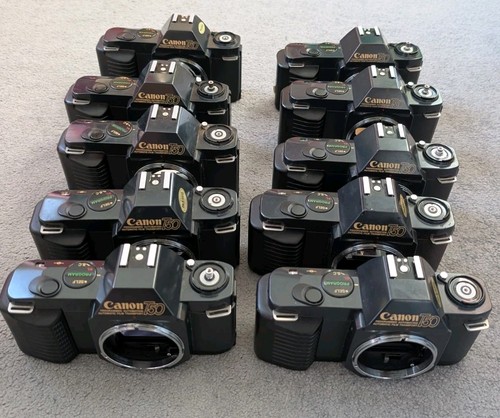 10x canon t50 bodies spares - 10x,