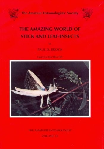 Amazing world stick - world, of
