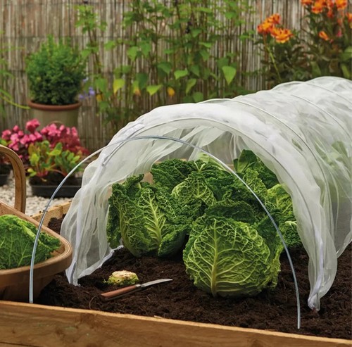 Poly tunnel cloche mini - poly, 1.5m