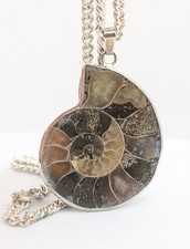 925 Sterling Silver Large Ammonite Shell Fossil Pendant Curb Chain Necklace 