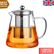Elegant 550ml Borosilicate Tea