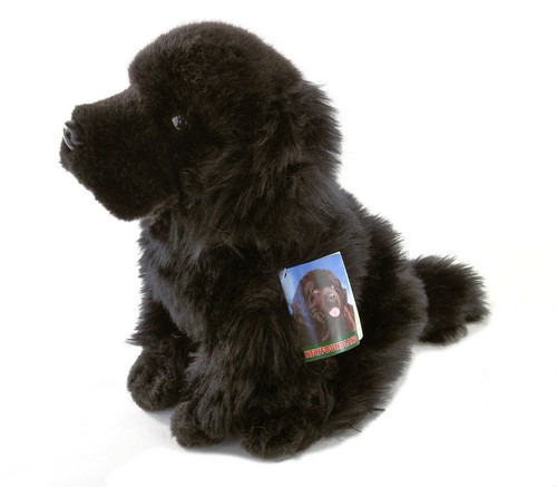 Faithful friends newfoundland - faithful,