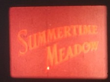 SUMMERTIME MEADOW 1956 16MM