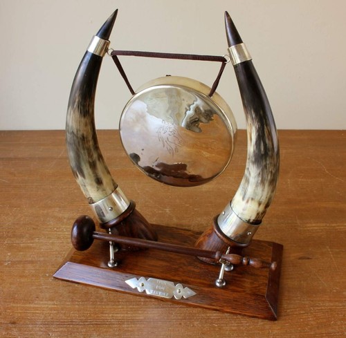 English oak bovine horn - english,