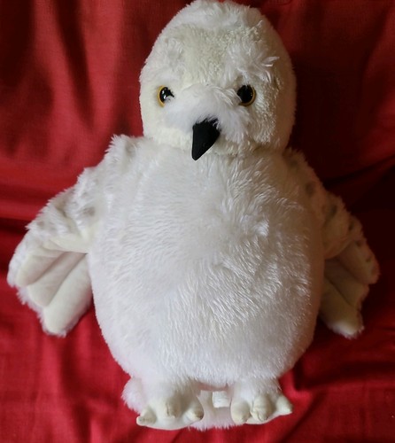 Official harry potter - official, hedwig