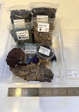 Isopod woodlice invert Box