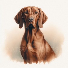 VIZSLA Watercolour Painting