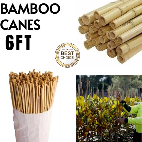 6ft heavy duty - bamboo, canes