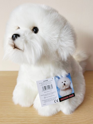 Bichon frise hand - frise,