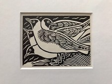 ‘Black Headed Gull’-