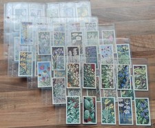 PG Tips = Brooke Bond = Tea