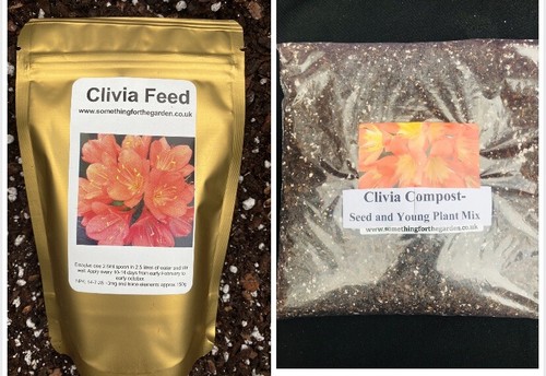 Clivia growers bundle - bundle,, &