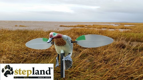 Duck decoy stepland spinning - duck,