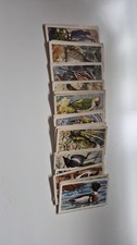 Brooke Bond Tea Cards Bird Portraits Not A Complete Set