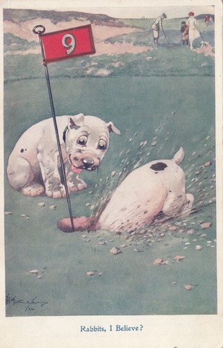 Vintage picture postcard - gb,