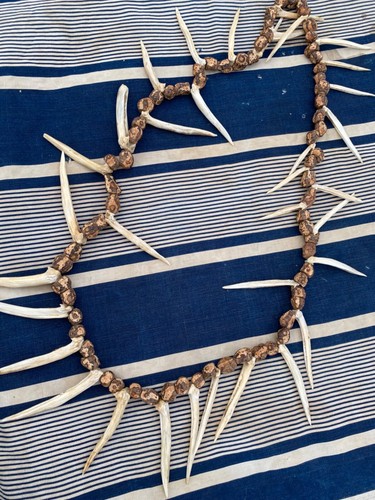 Tiger fish teeth necklace - tiger,