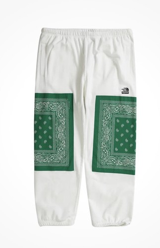 Supreme the north face bandana - face,