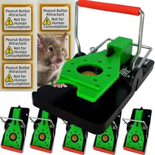 Mouse Traps for Mice – 6
