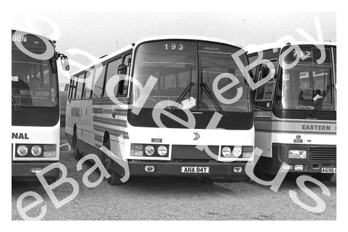 Bus photograph eastern - photograph,