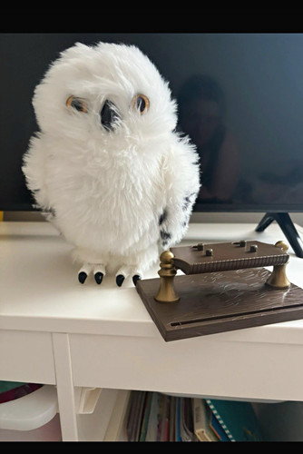 Harry potter hedwig white - hedwig, owl