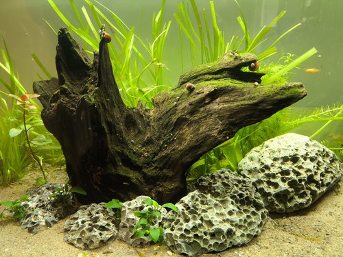 Beautiful natural blue - 5, rocks