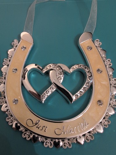 Just married horse shoes - just,