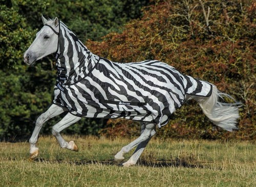 Bucas buzz off fly sheet - off,