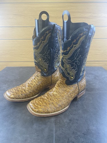 Reywelt full quill ostrich - quill,