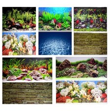 Aquarium Fish Tank Background