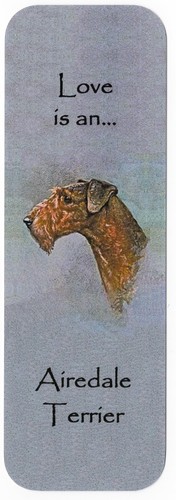 Airedale terrier dog - dog, beautiful