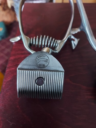 Chrome burman hair - burman,