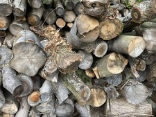 Hard Wood For Sale . Ready To Cut Up And Split . Delivered Locally Wood Burner