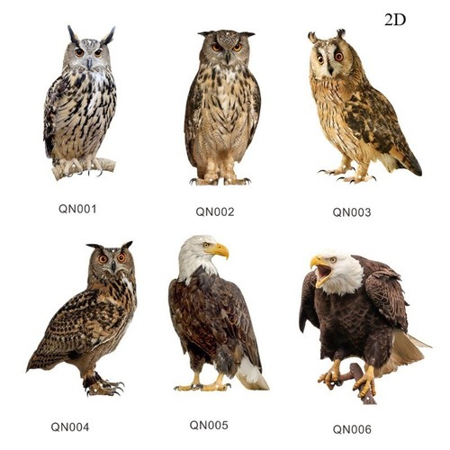 Owl decoy bird - decoy, deterrent