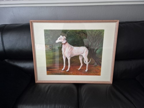The white greyhound daisy - the,