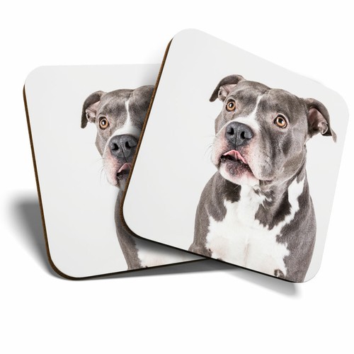 Coasters american pit - 2,