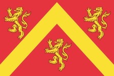 Anglesey Flag Flag 100cm x
