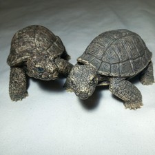 2x Tortoise Figure Toy Realistic Reptile Turtle Figurine Heavy Collectible Decor