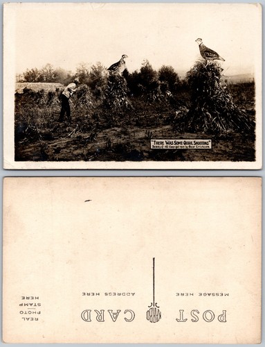 Exaggeration giant quail - exaggeration,