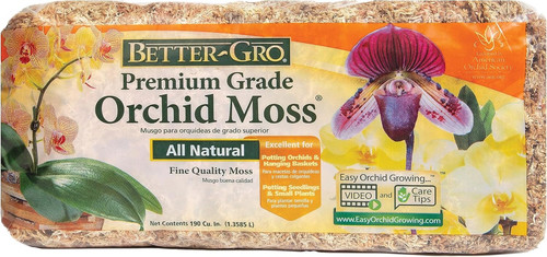 Premium grade orchid - grade,