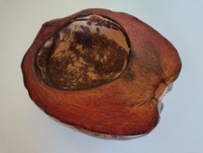 Vintage Lacquered Coconut Bowl