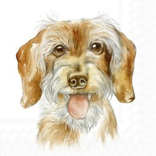 4 x COCKTAIL Napkin/3Ply/25cm/Decoupage/Animals/Portrait of Dog/Fritz