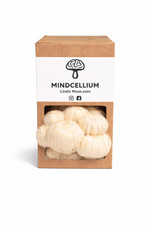 Lions Mane Mushroom Grow Kit