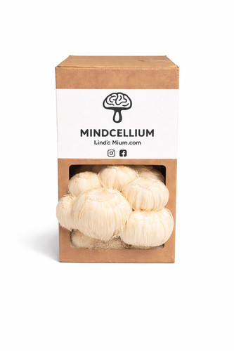 Lions mane mushroom grow kit - lions,