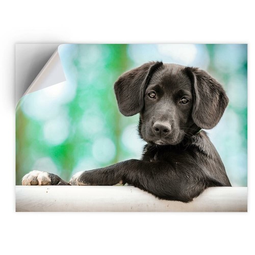 Vinyl sticker cute - 1,