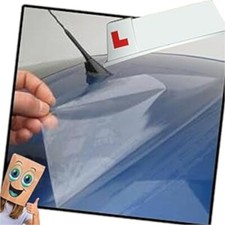 protector Roof Paint